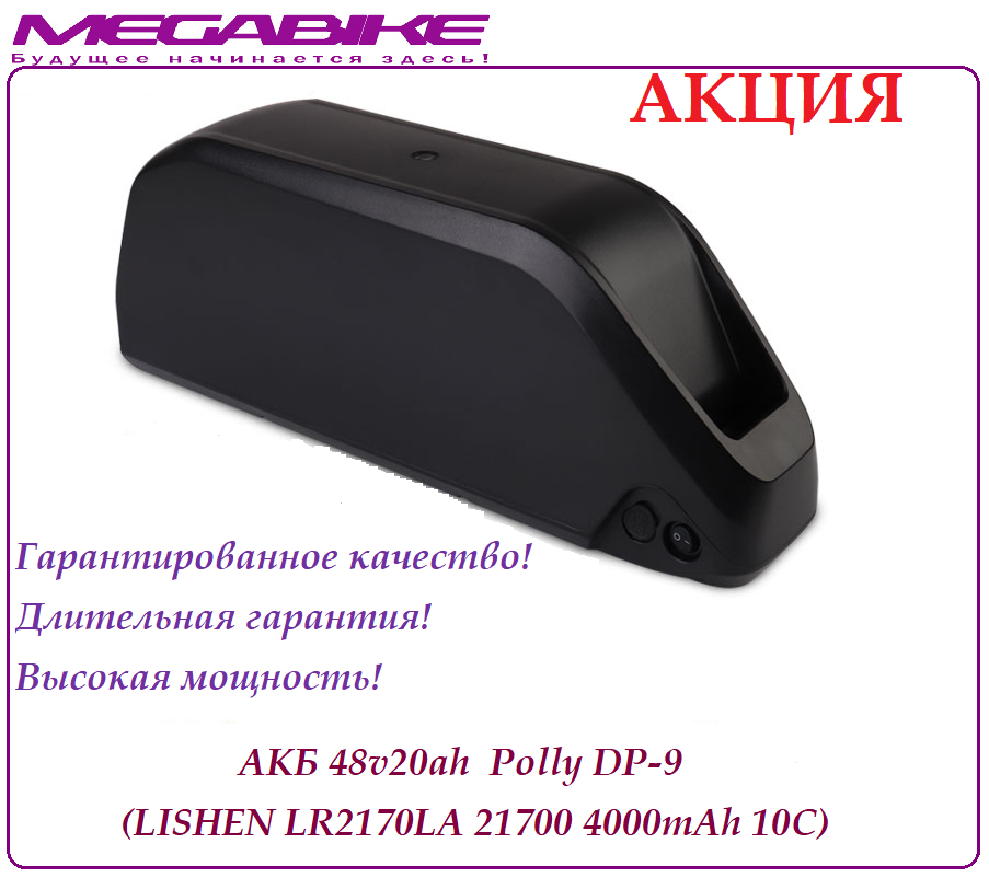 Аккумулятор Li-ion 48v20ah LR2170LA в боксе Polly DP9-21700