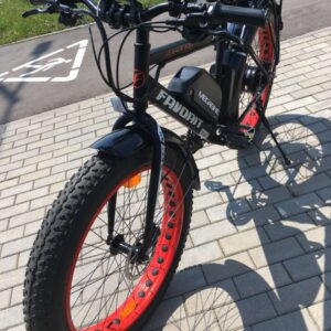 Электровелосипед Fat Bike FAVORIT 750W с багажником